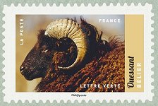 Image du timbre Ouessant -Belier