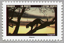 Image du timbre Léopard