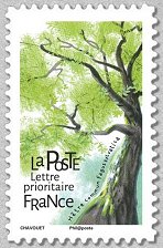 Image du timbre Hêtre commun - Fagus sylvatica