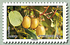 Image du timbre Kiwis France