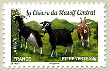 Image du timbre La chèvre du Massif Central