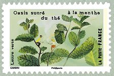 Image du timbre Oasis sucré du thé à la menthe