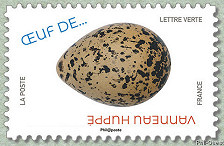 Image du timbre Vanneau huppé