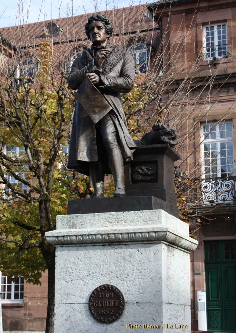 La statue de Georges Cuvier