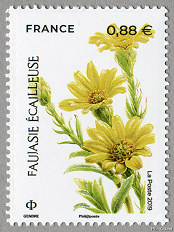 Image du timbre Faujasie écailleuse