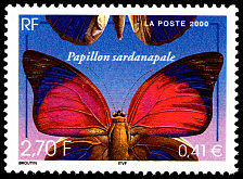 Papillon sardanapale ou <em>Agrias sardanapalus</em>