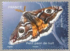 Image du timbre Petit paon de nuit