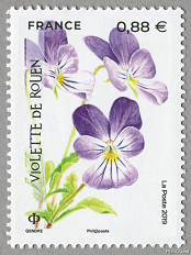 Image du timbre Violette de Rouen