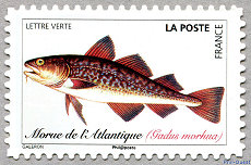Image du timbre Morue de l'Atlantique  Gadus morhua