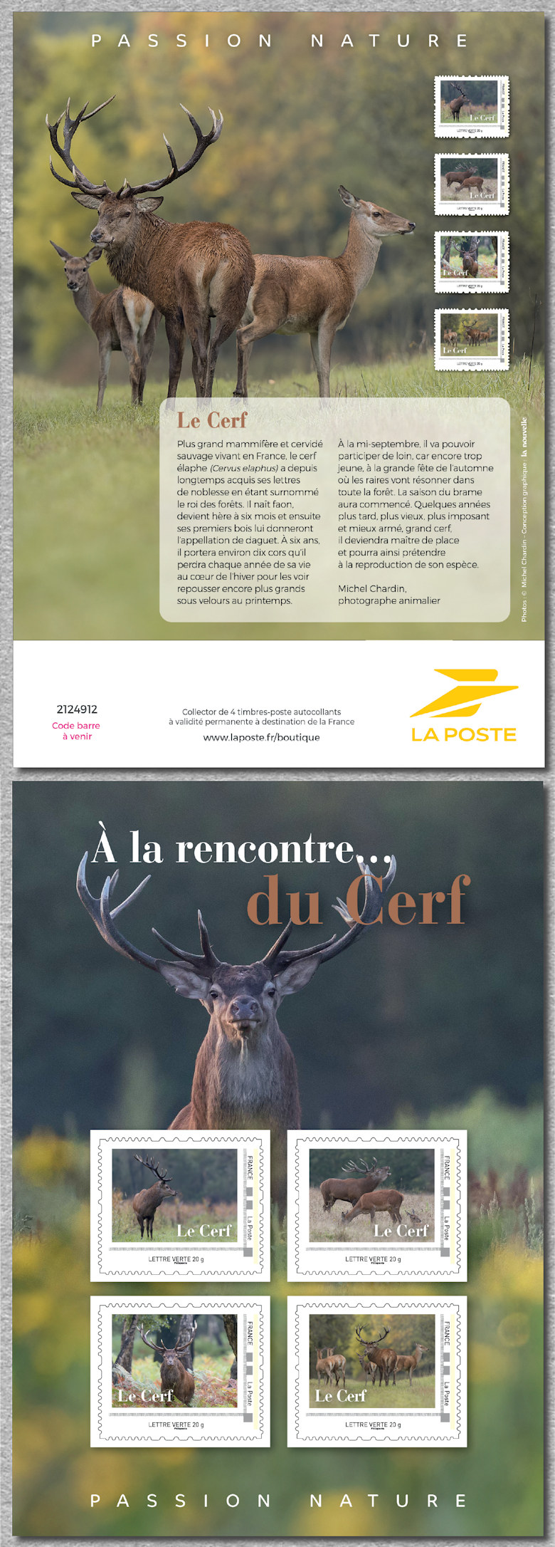 À la rencontre du cerf