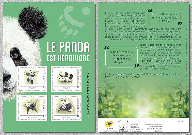 La Panda est herbivore