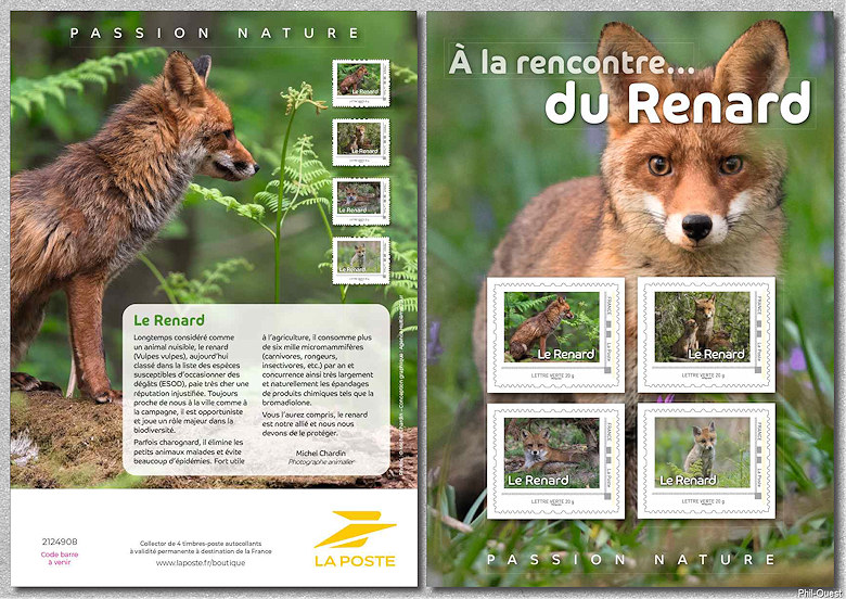 Rencontre_Renard_2024