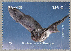 Image du timbre Barbastelle d'Europe